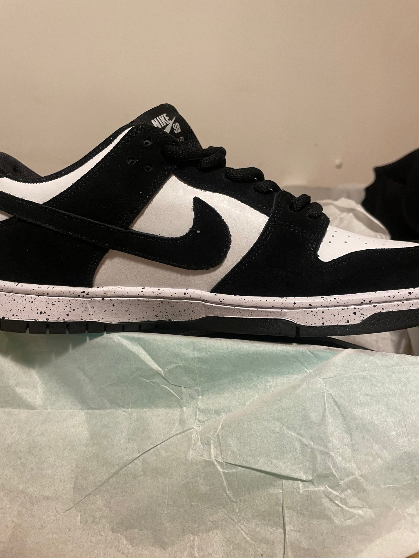 Panda Dunk